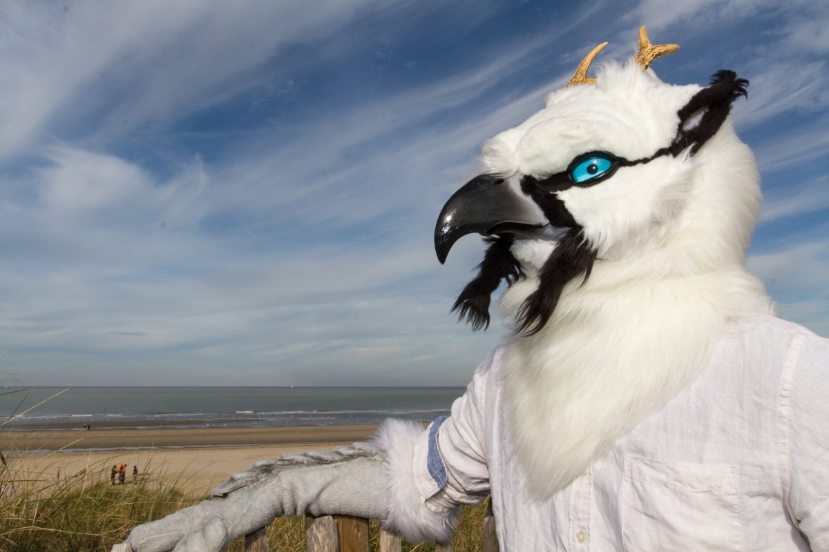 Flüüfff 2018, Beach photos