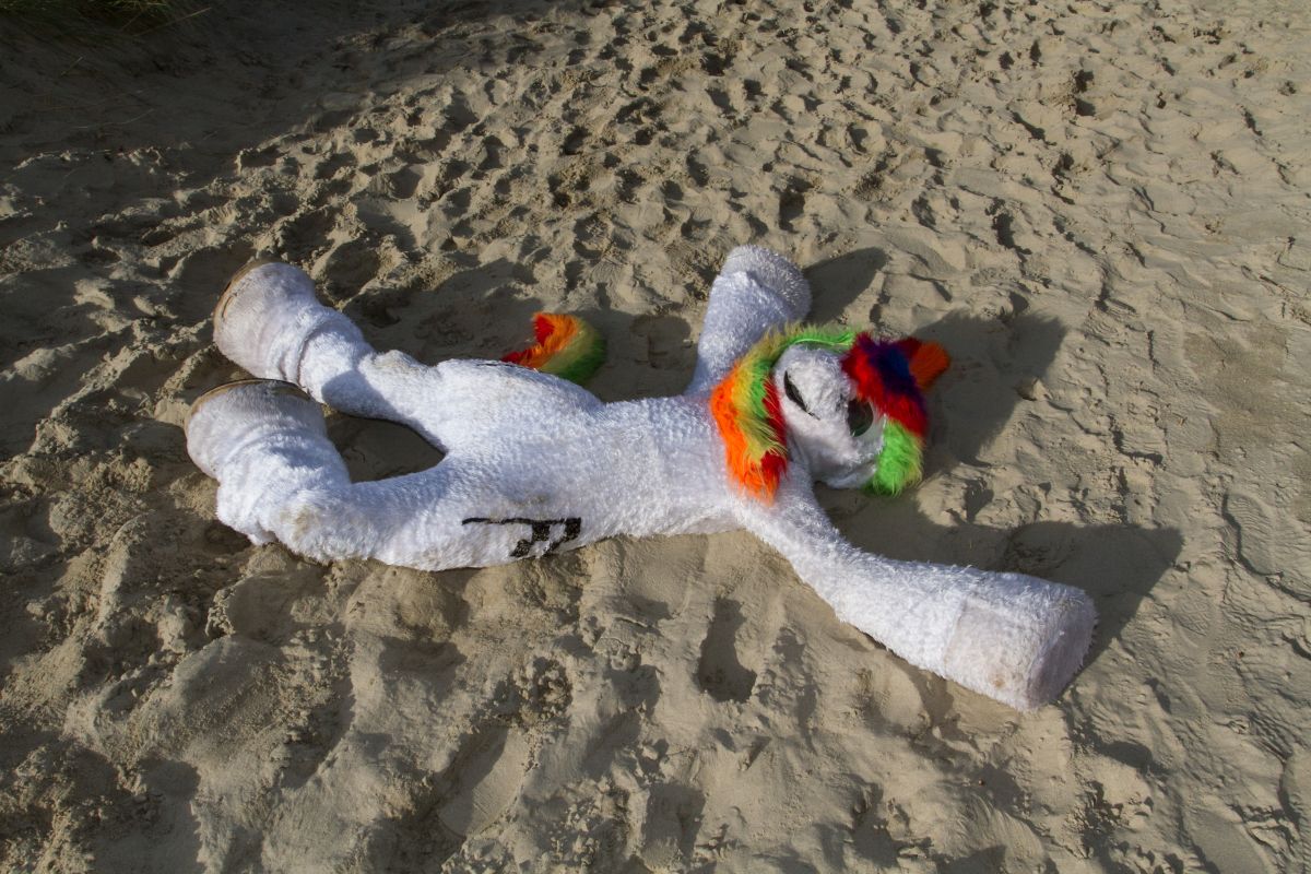 Flüüfff 2018, Beach photos