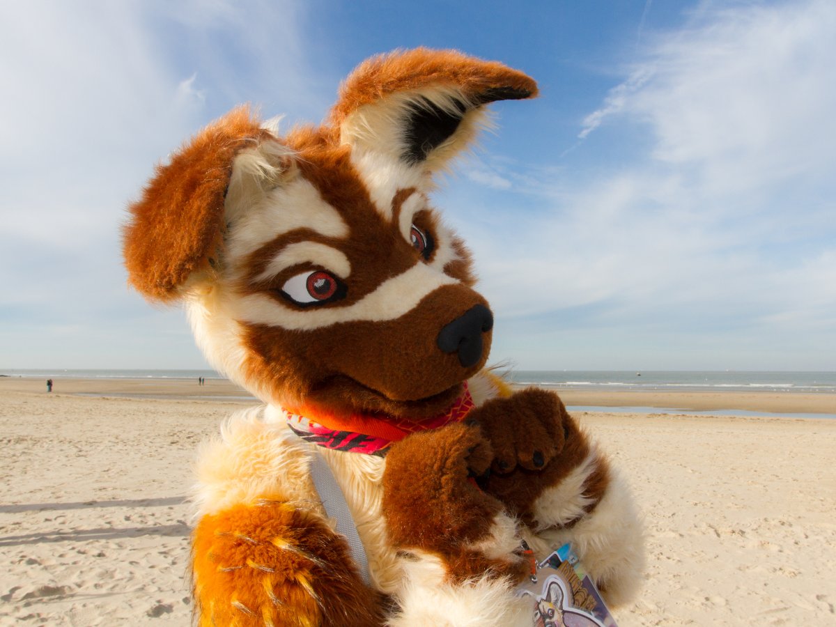 Flüüfff 2018, Beach photos