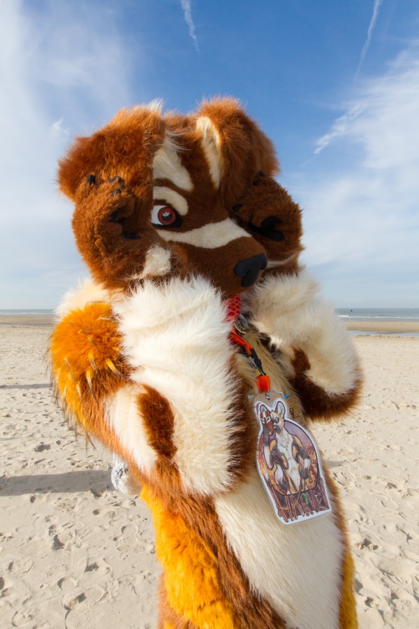 Flüüfff 2018, Beach photos