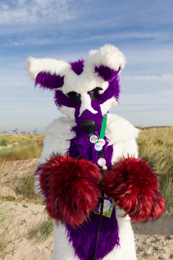 Flüüfff 2018, Beach photos