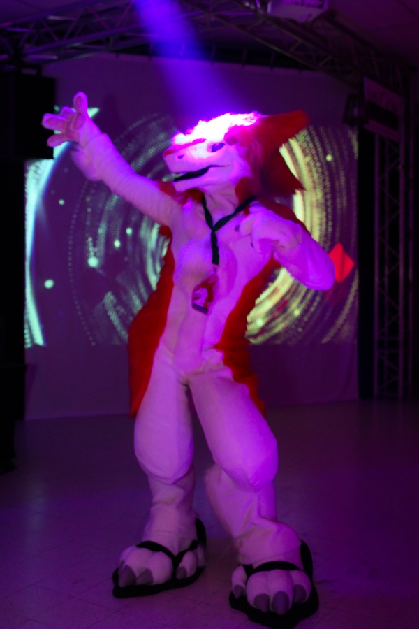Flüüfff 2018, Convention photos