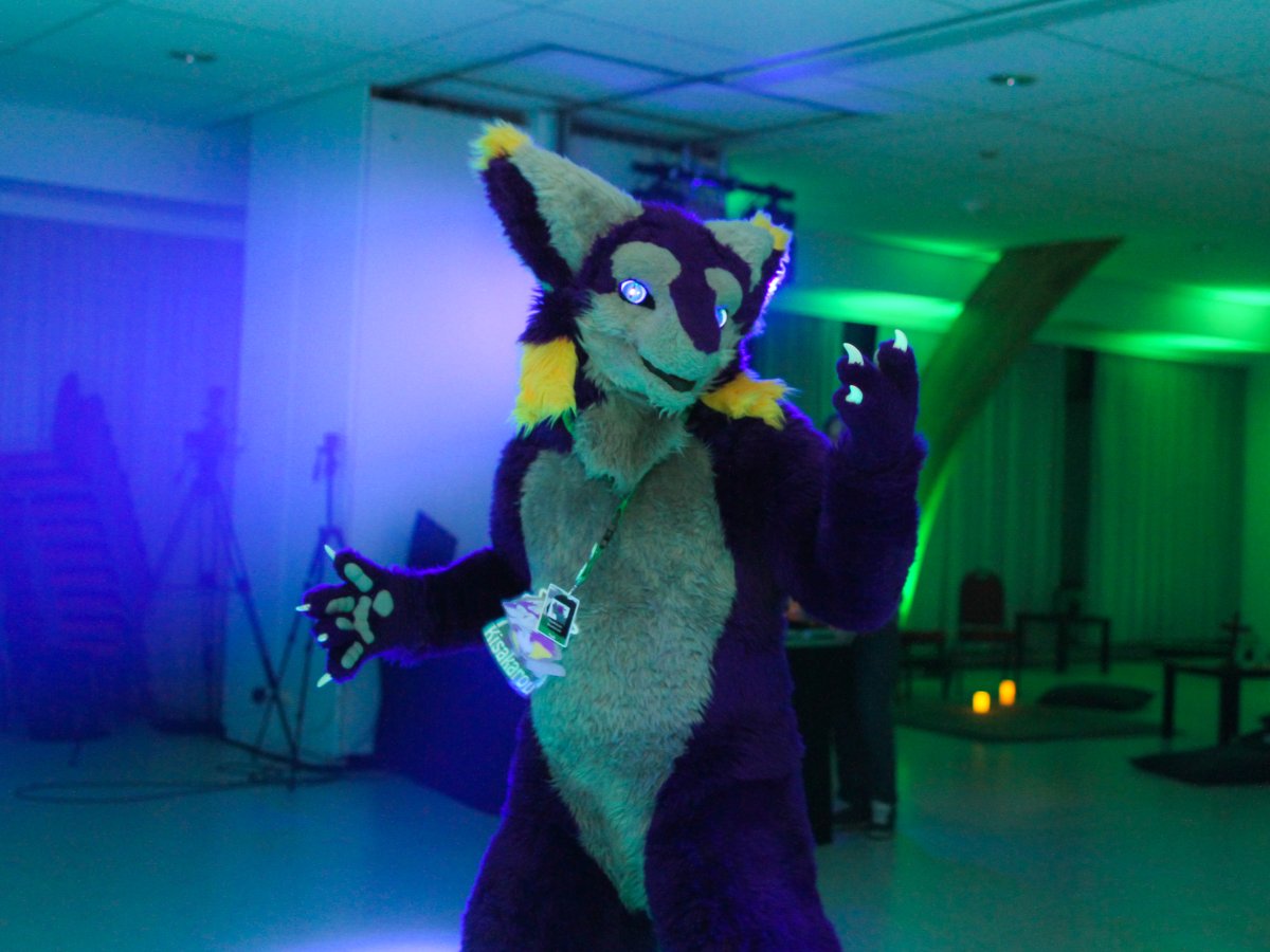 Flüüfff 2018, Convention photos