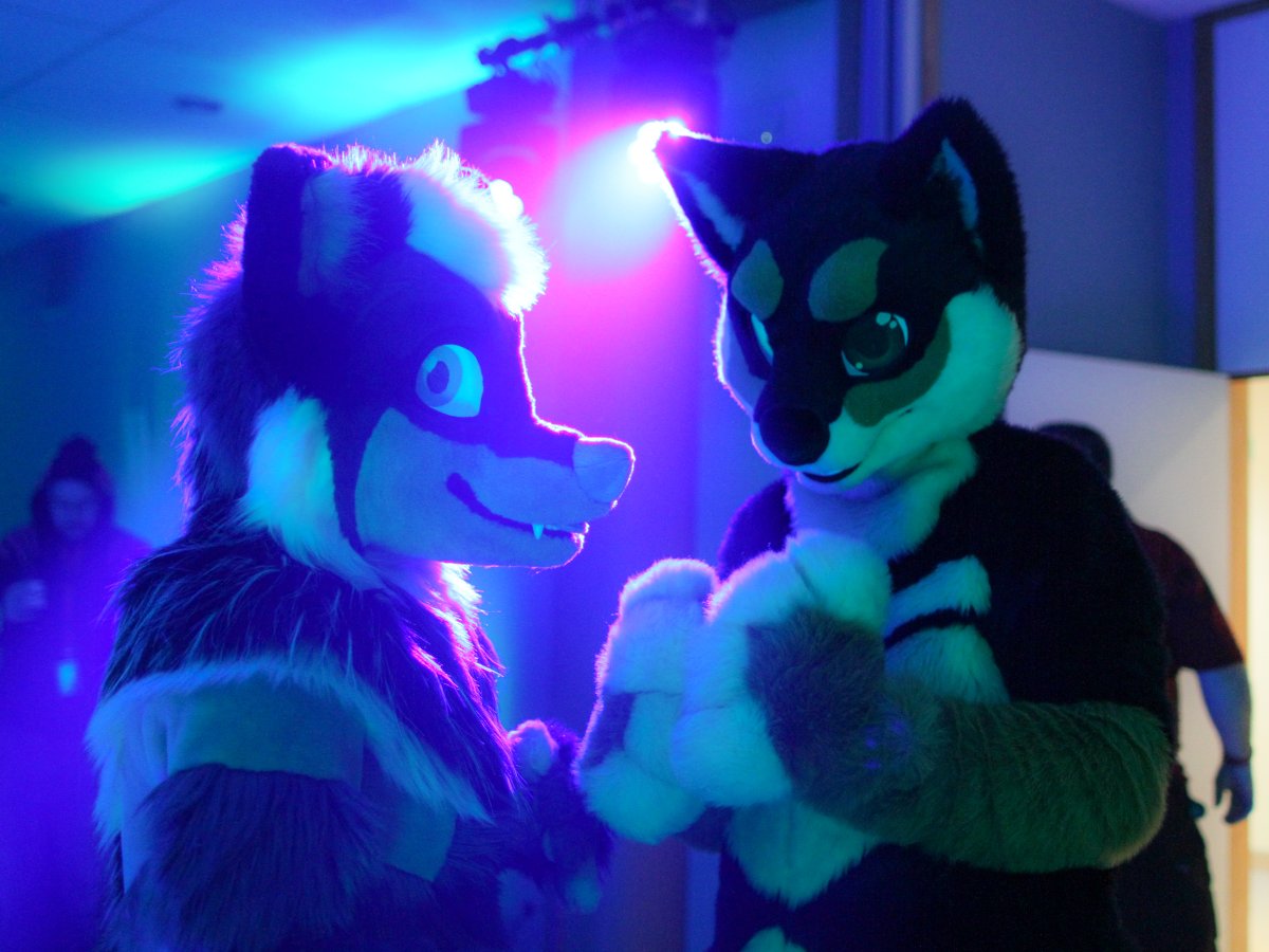 Flüüfff 2018, Convention photos