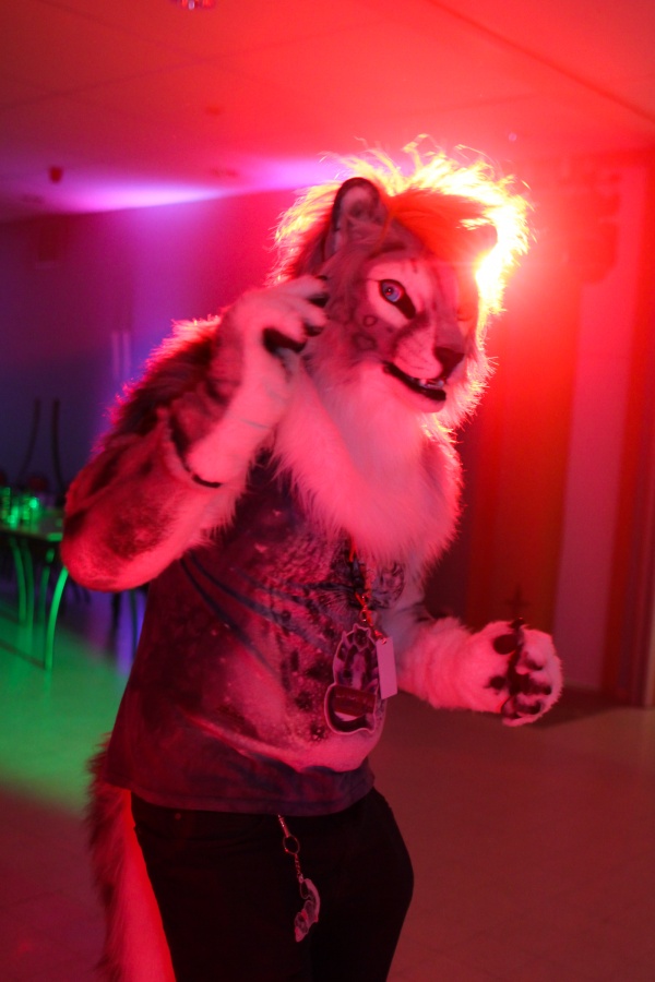 Flüüfff 2018, Convention photos