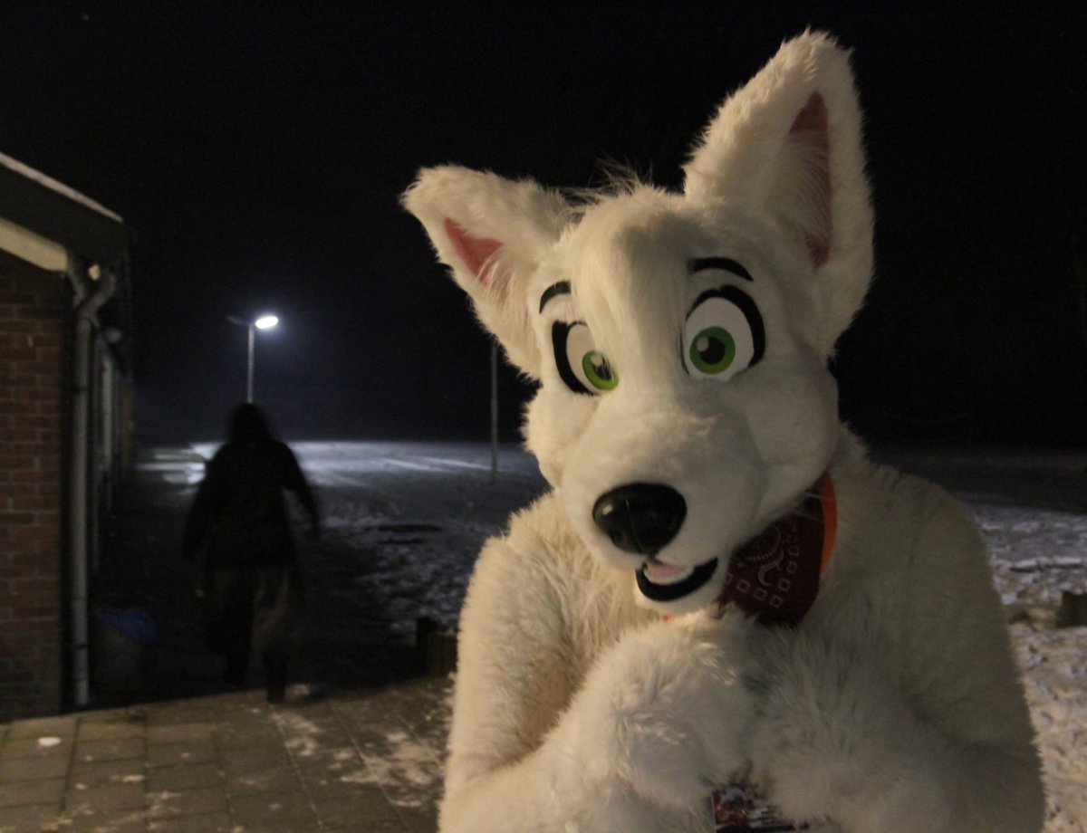 Furs on Fire 2010, Event photos