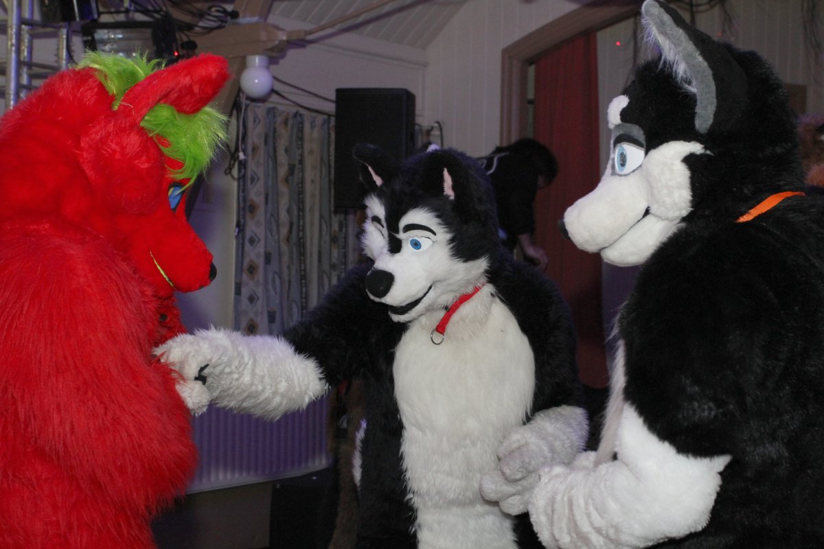 Furs on Fire 2010, Event photos
