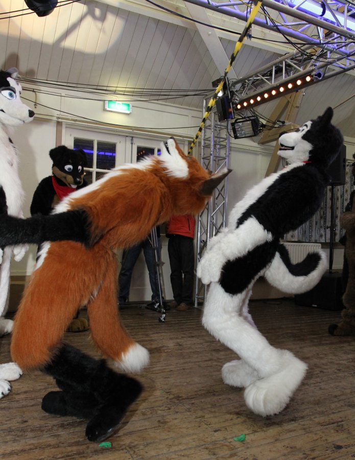Furs on Fire 2010, Event photos