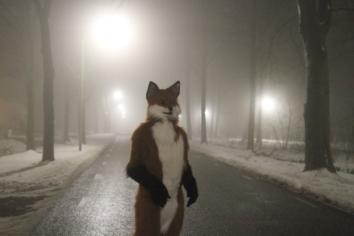 Furs on Fire 2010, Furs on Fog