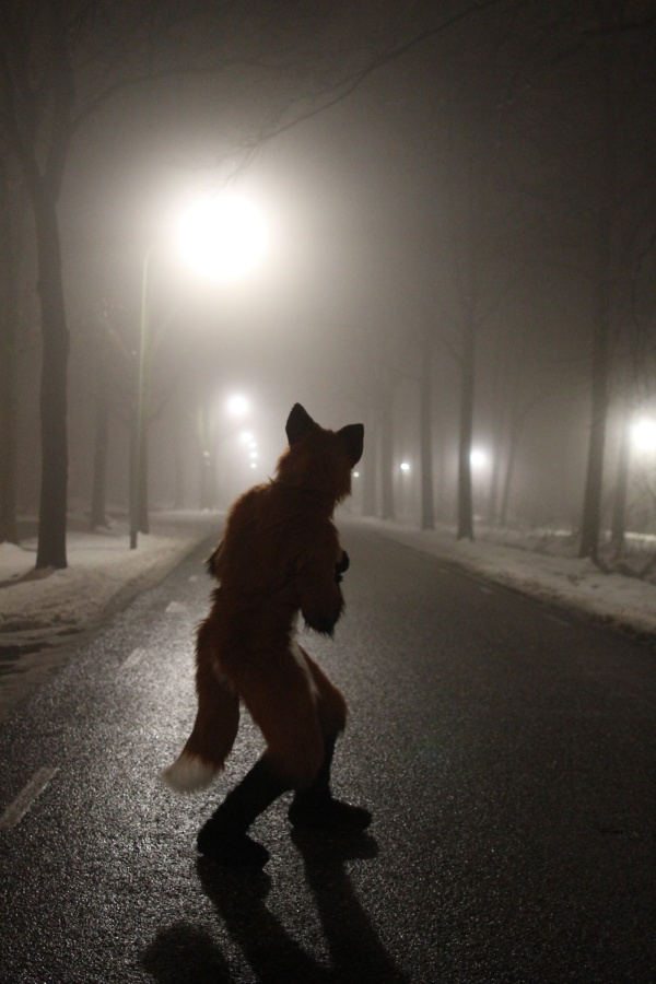 Furs on Fire 2010, Furs on Fog