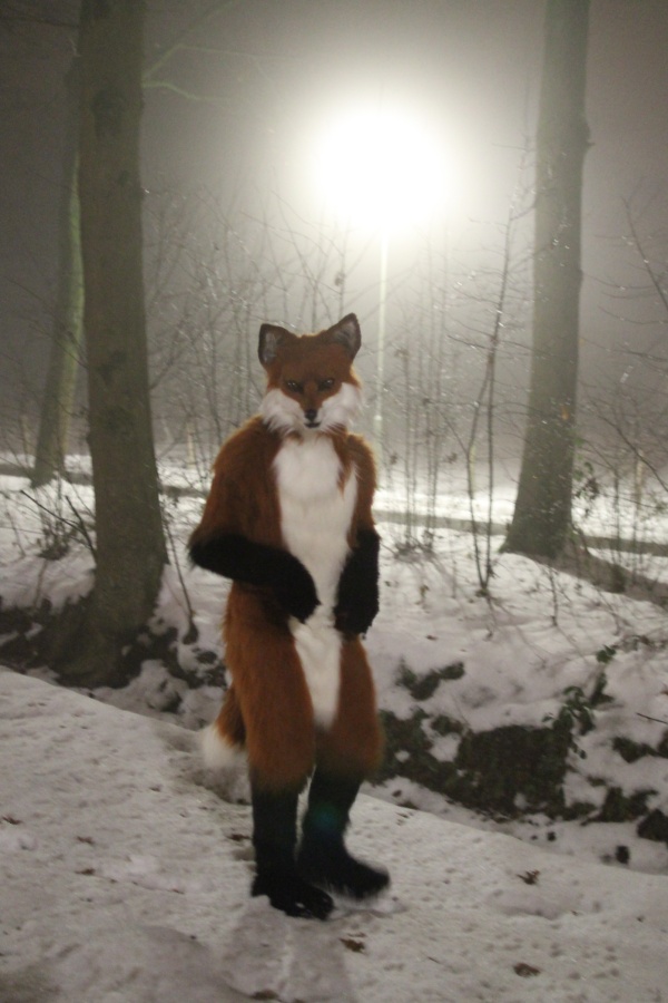 Furs on Fire 2010, Furs on Fog