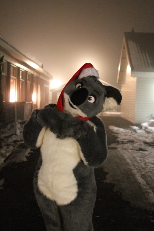 Furs on Fire 2010, Furs on Fog