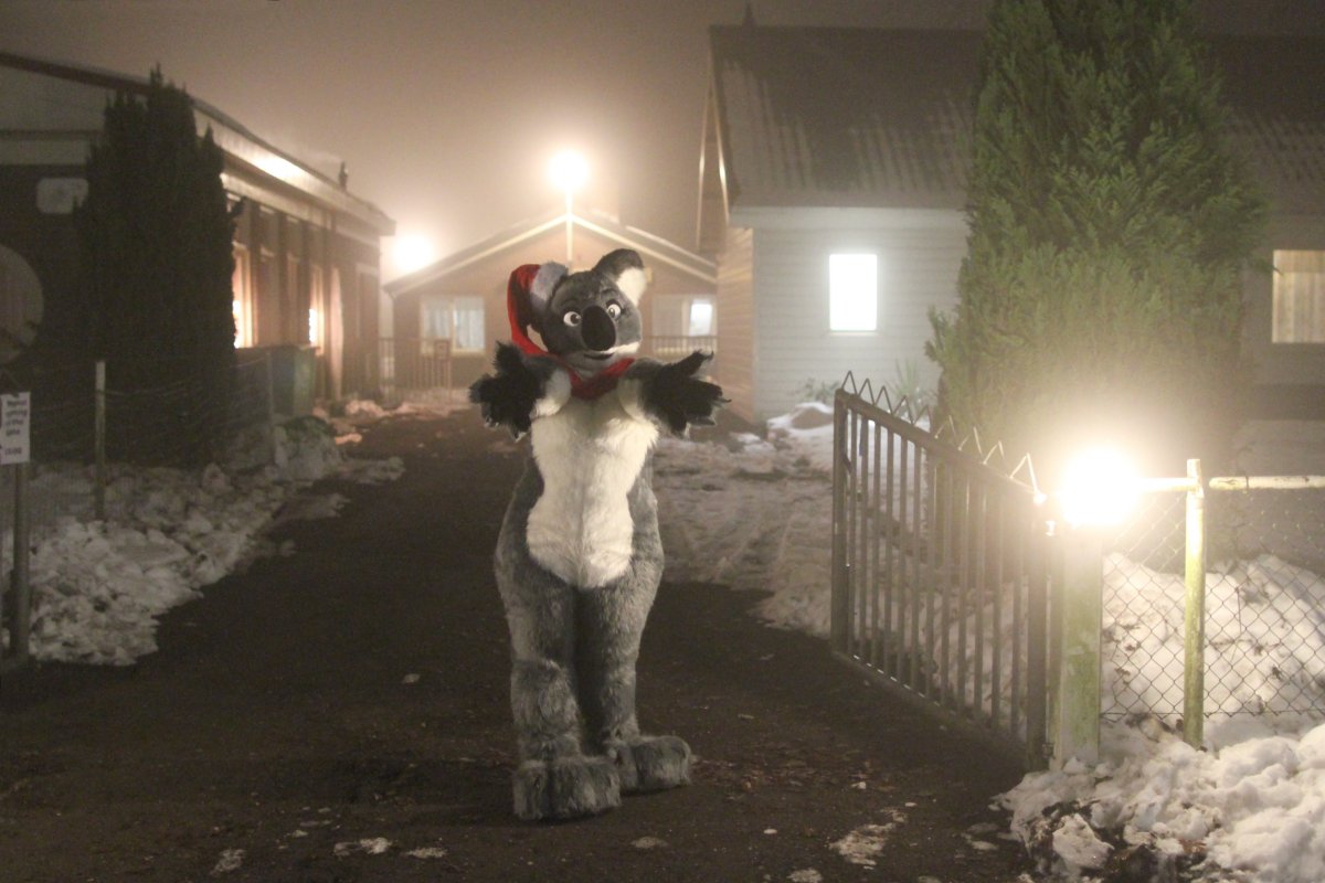 Furs on Fire 2010, Furs on Fog