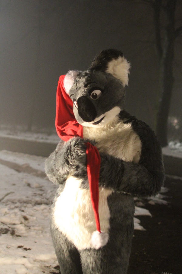 Furs on Fire 2010, Furs on Fog