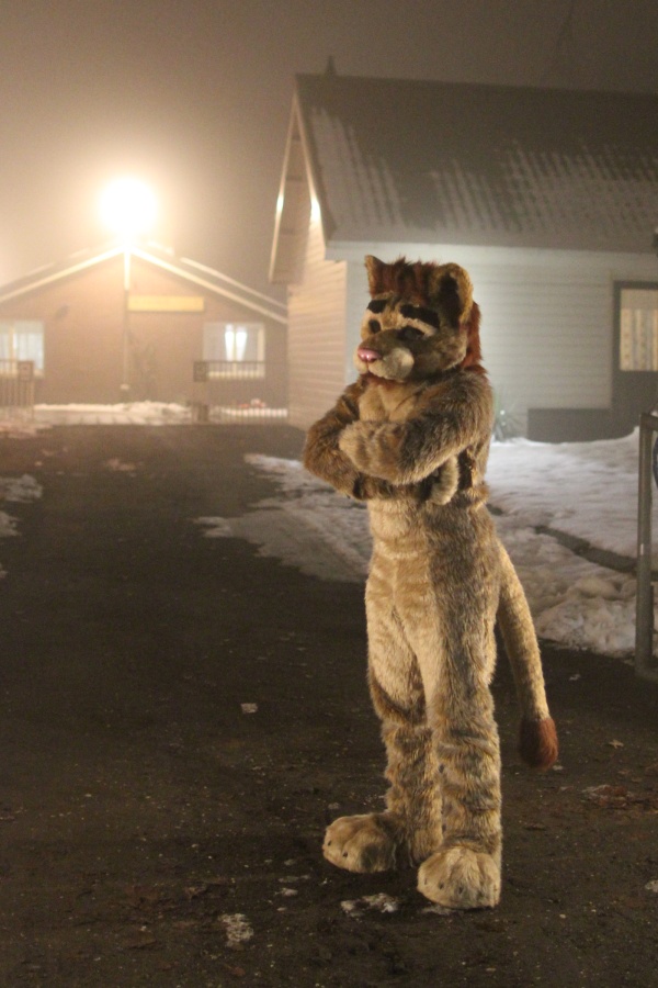 Furs on Fire 2010, Furs on Fog