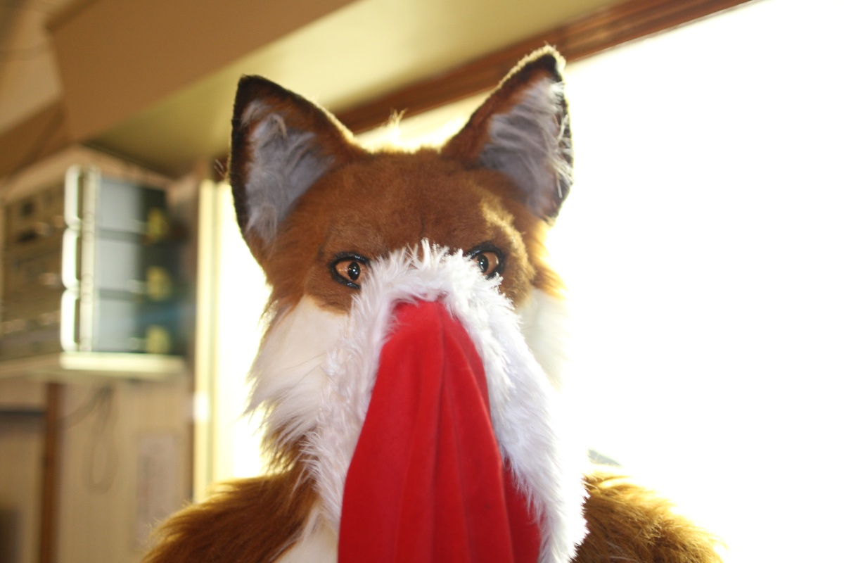 Furs on Fire 2010, Event photos