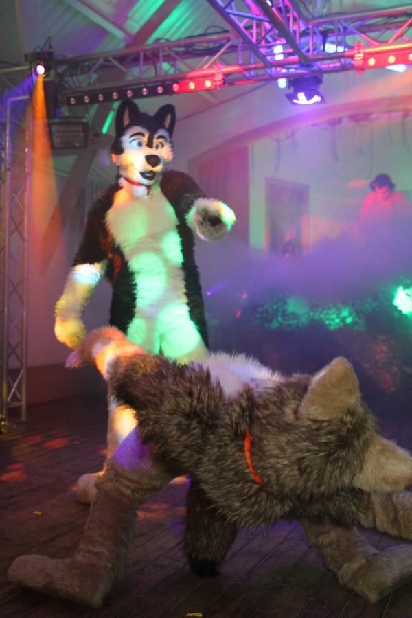 Furs on Fire 2010