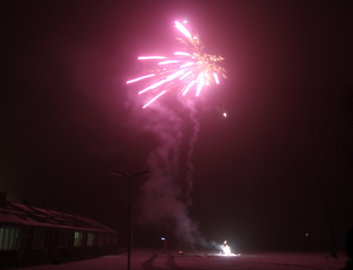 Furs on Fire 2010, Event photos