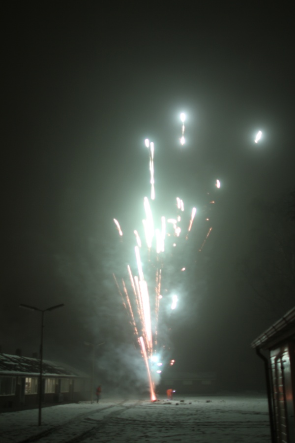 Furs on Fire 2010, Event photos