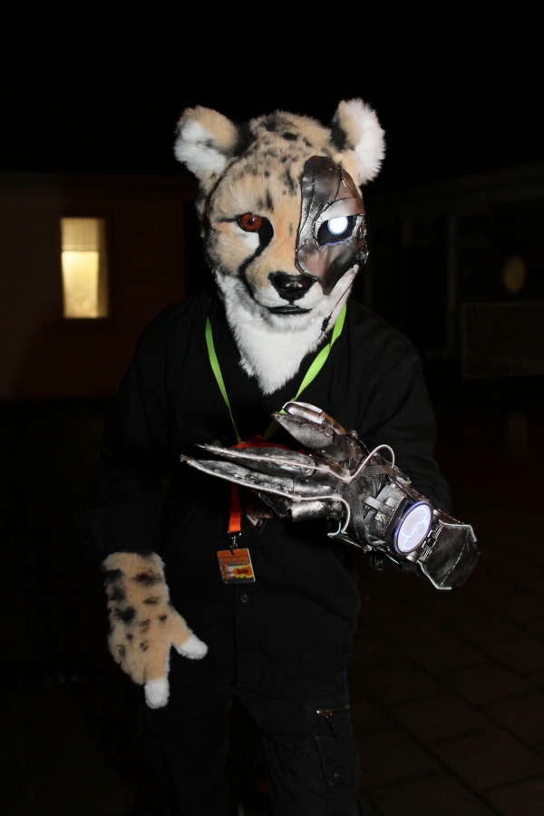 Furs on Fire 2011, Furries