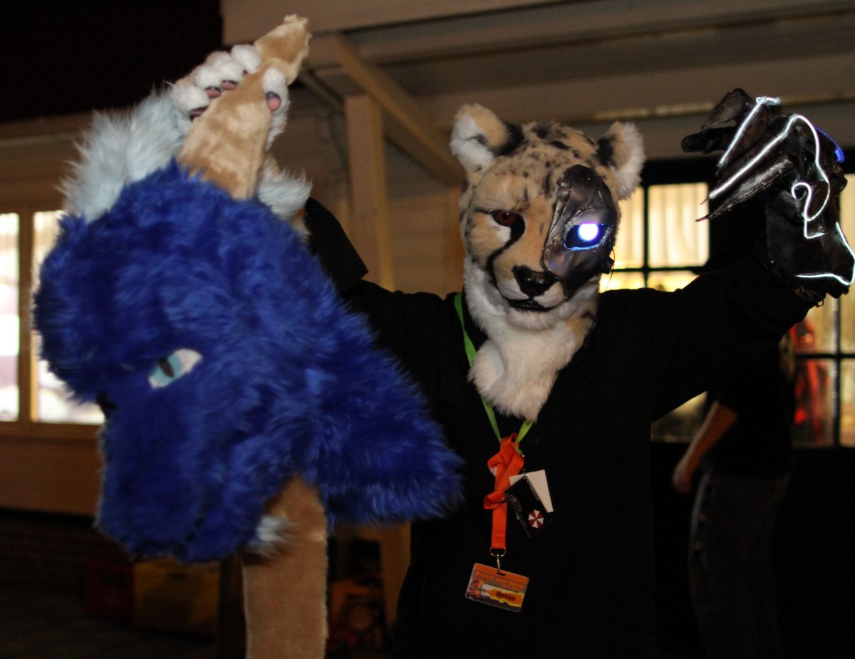 Furs on Fire 2011, Furries