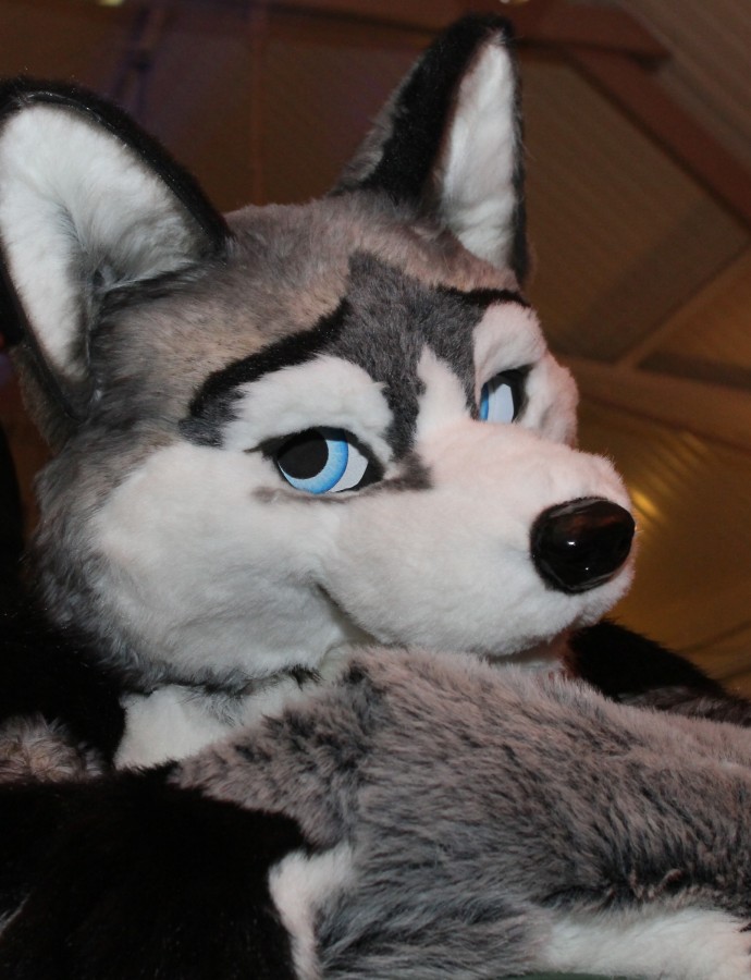 Furs on Fire 2011, Furries