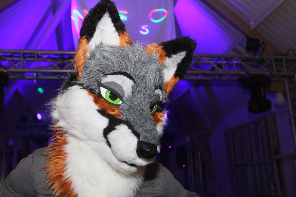 Furs on Fire 2011, Furries