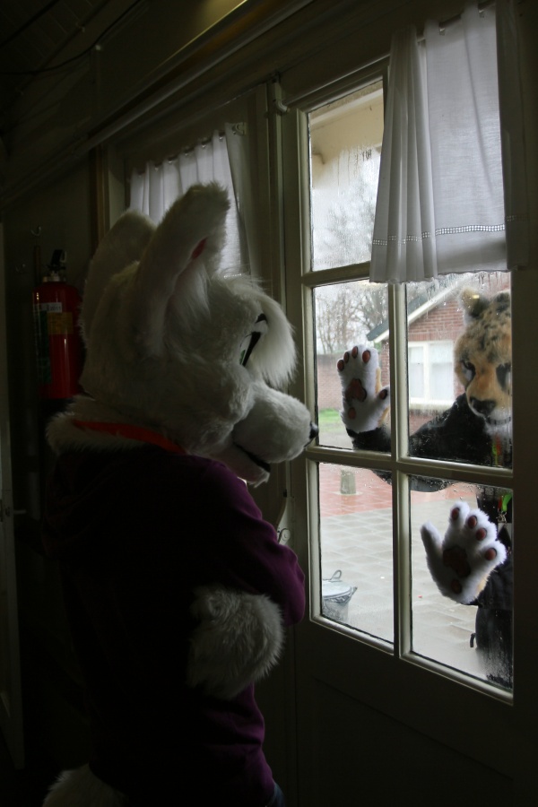 Furs on Fire 2011, Furries