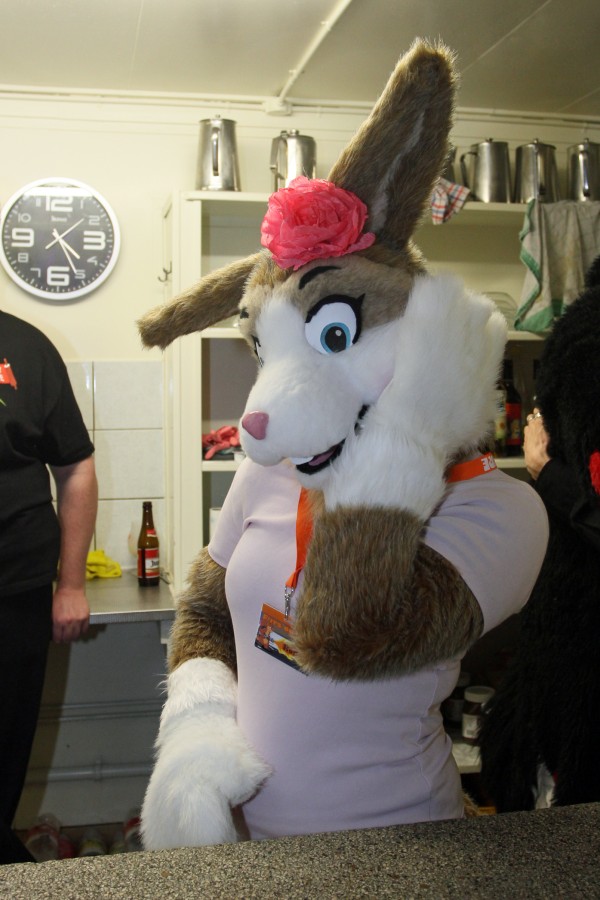 Furs on Fire 2011, Furries