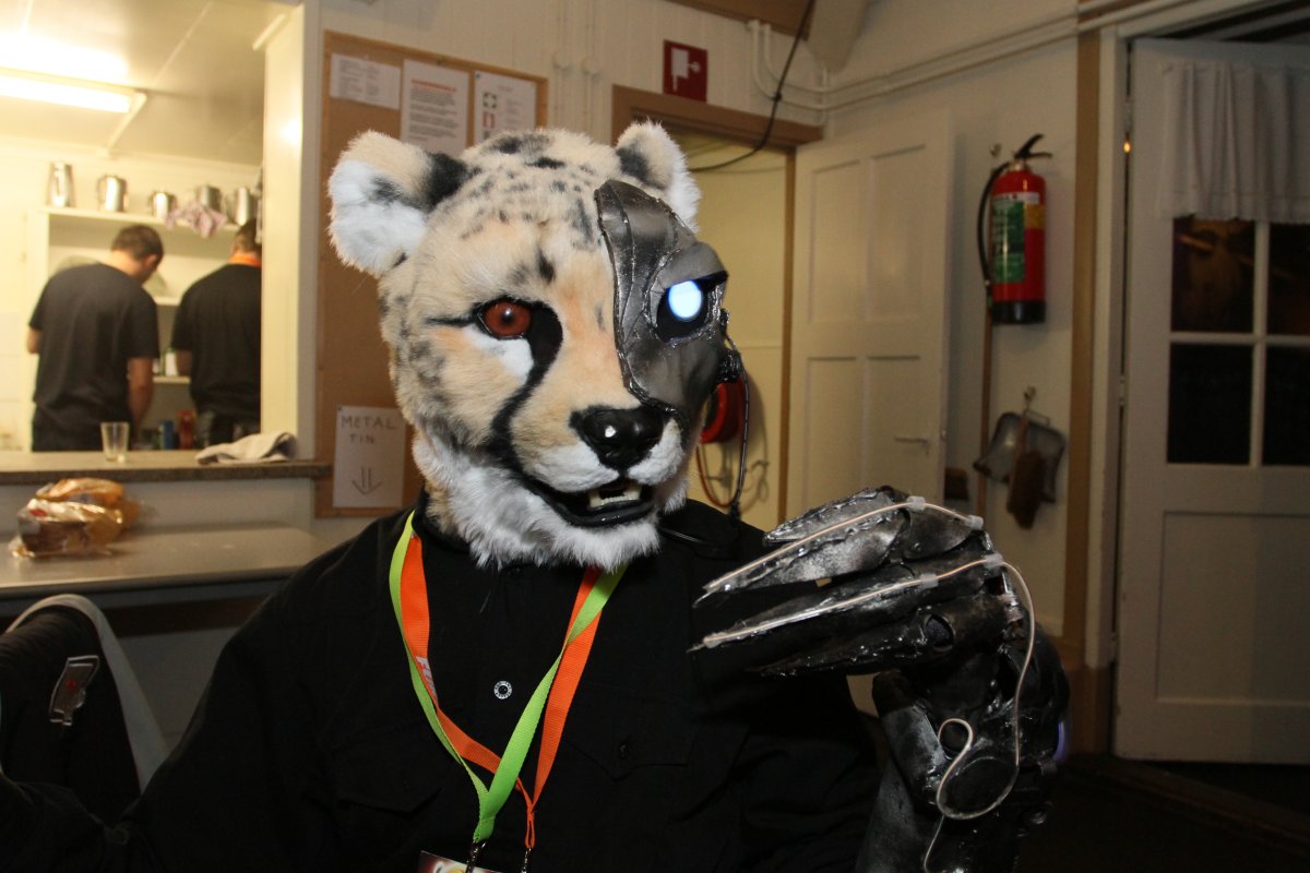 Furs on Fire 2011, Furries