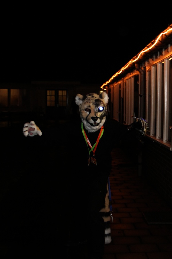 Furs on Fire 2011, Furries