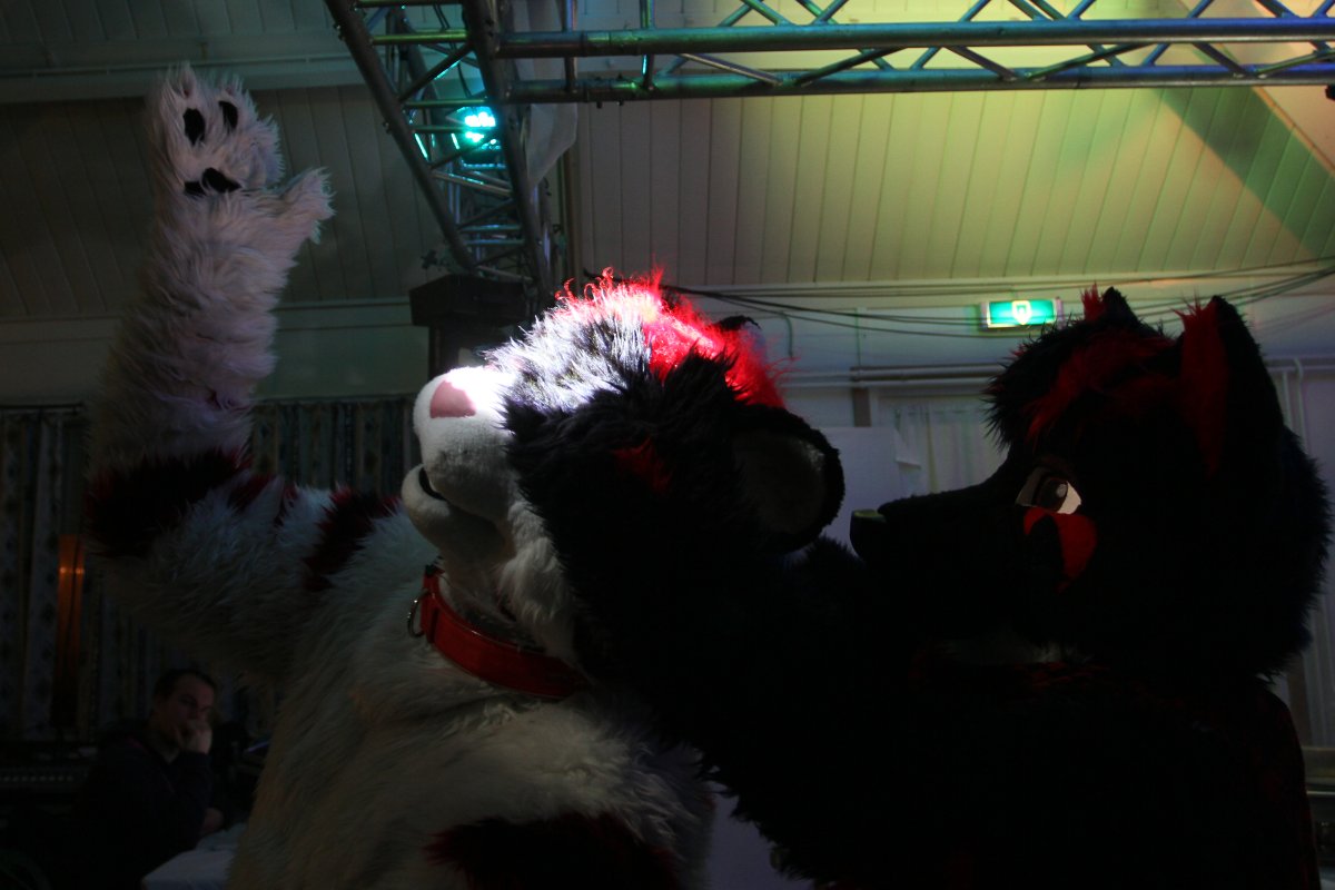Furs on Fire 2011, Furries