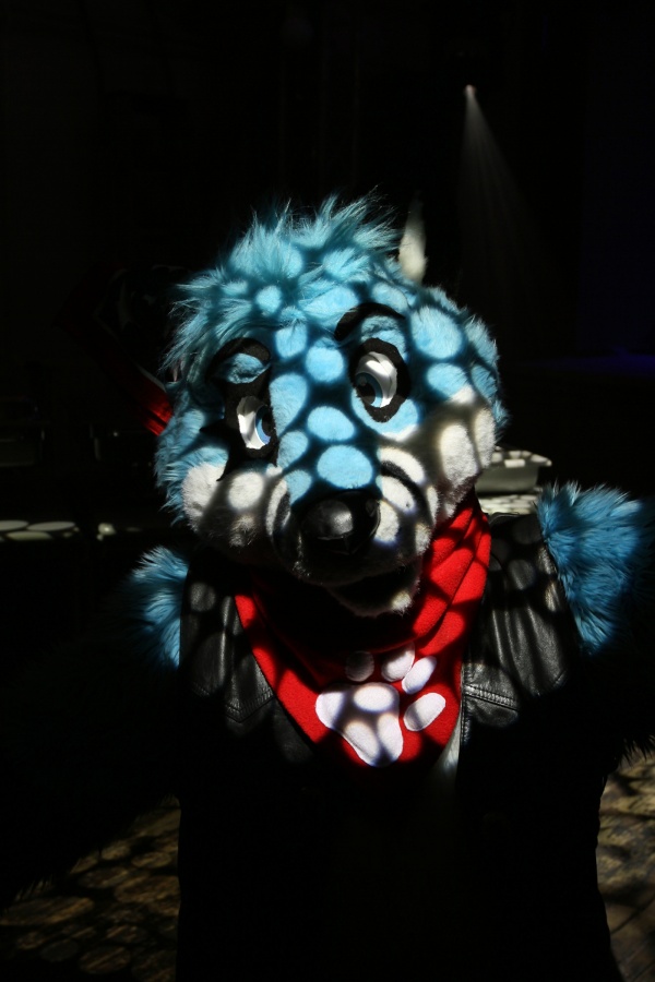 Furs on Fire 2011, Furries