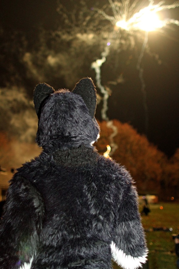 Furs on Fire 2011, Fireworks