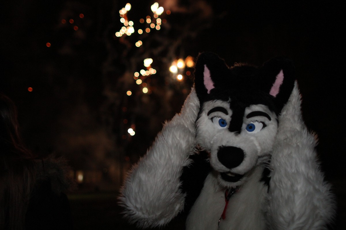 Furs on Fire 2011, Fireworks