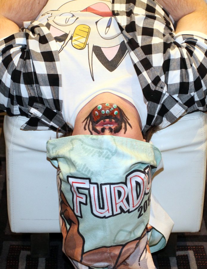 FurDU 2015, Other photos