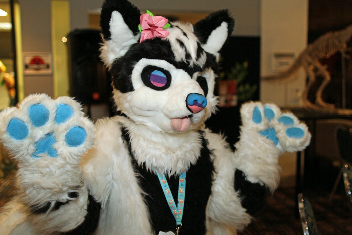 FurDU 2015, Fursuiters