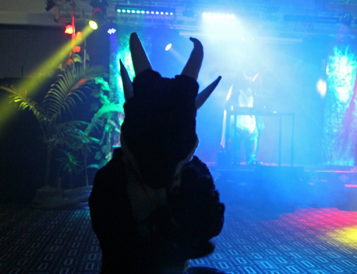FurDU 2015, Dances