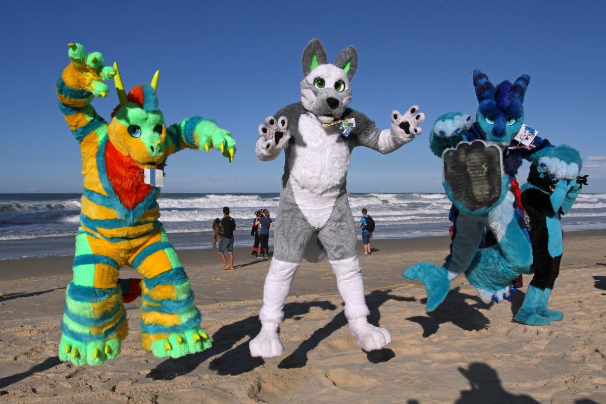 FurDU 2015, Beach photos