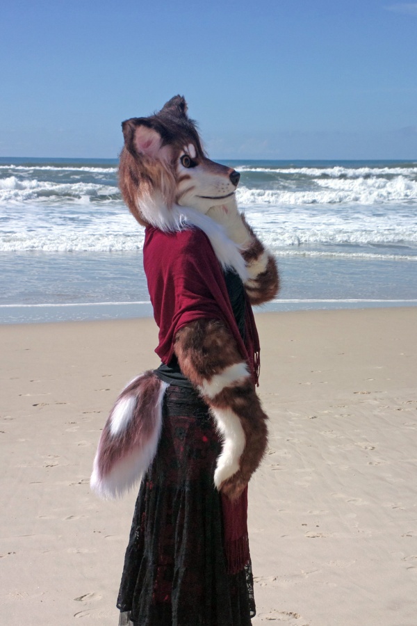 FurDU 2015, Beach photos