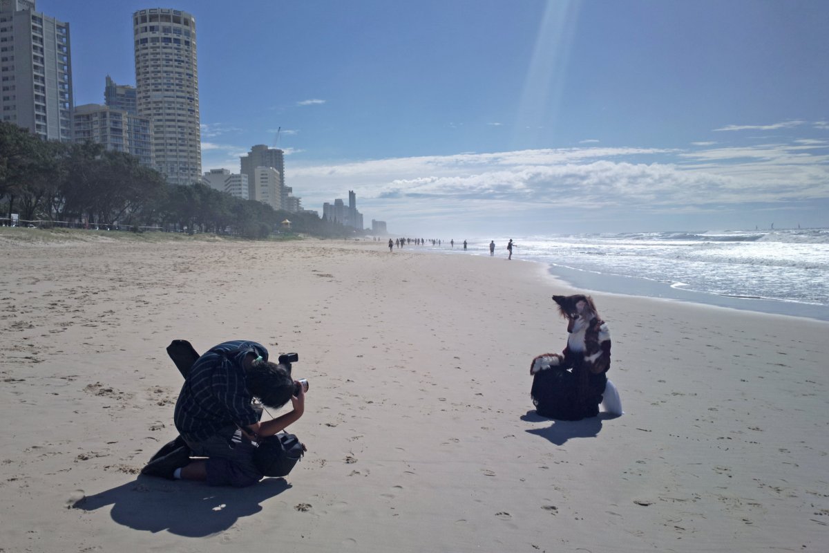 FurDU 2015, Beach photos