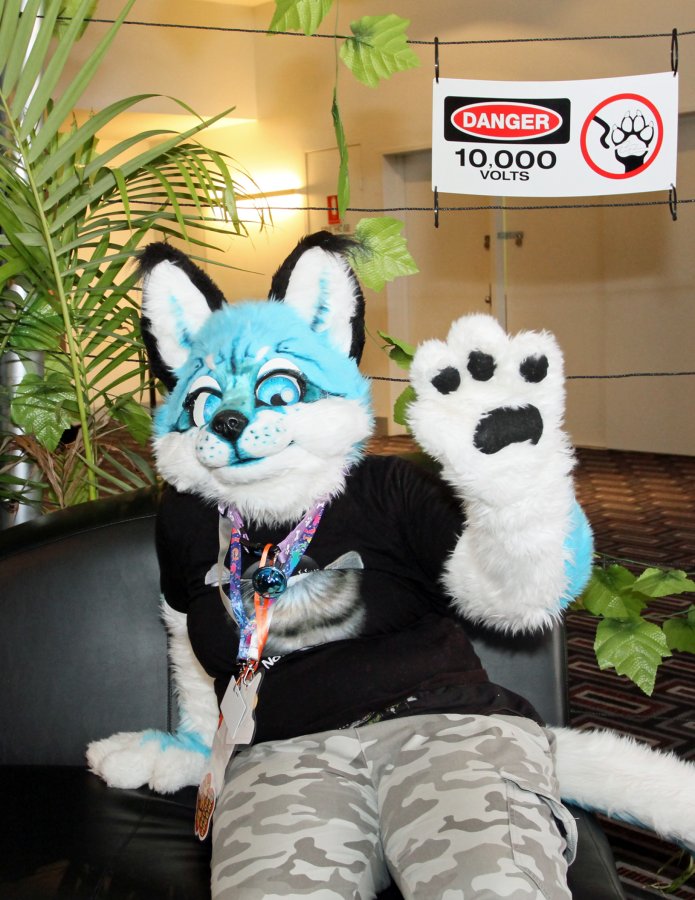 FurDU 2015, Fursuiters