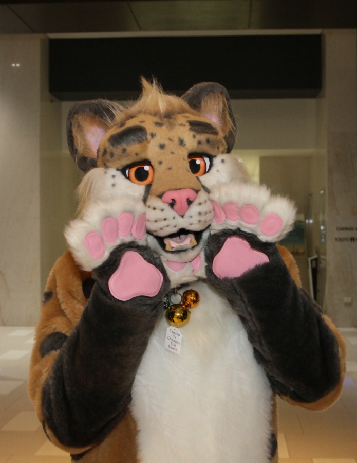 FurDU 2015, Fursuiters