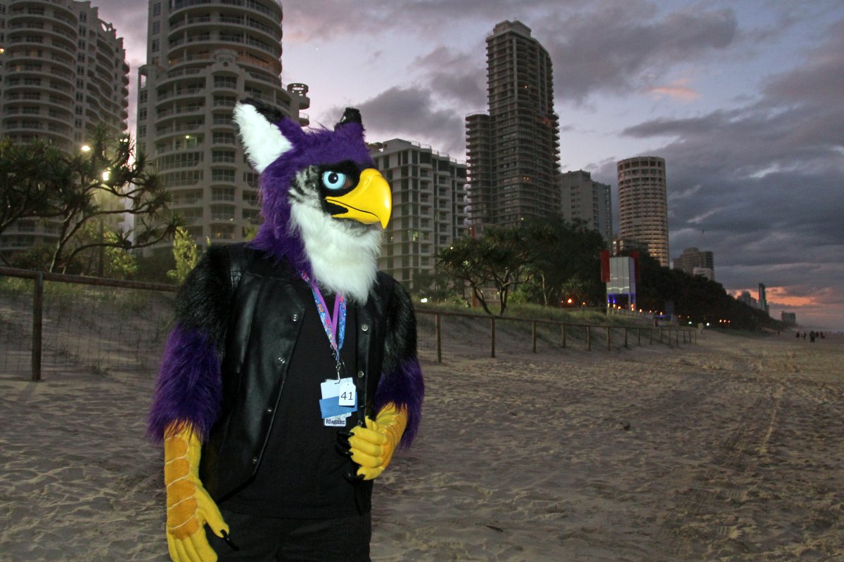FurDU 2015, Beach photos