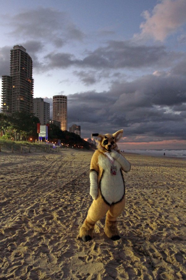 FurDU 2015, Beach photos