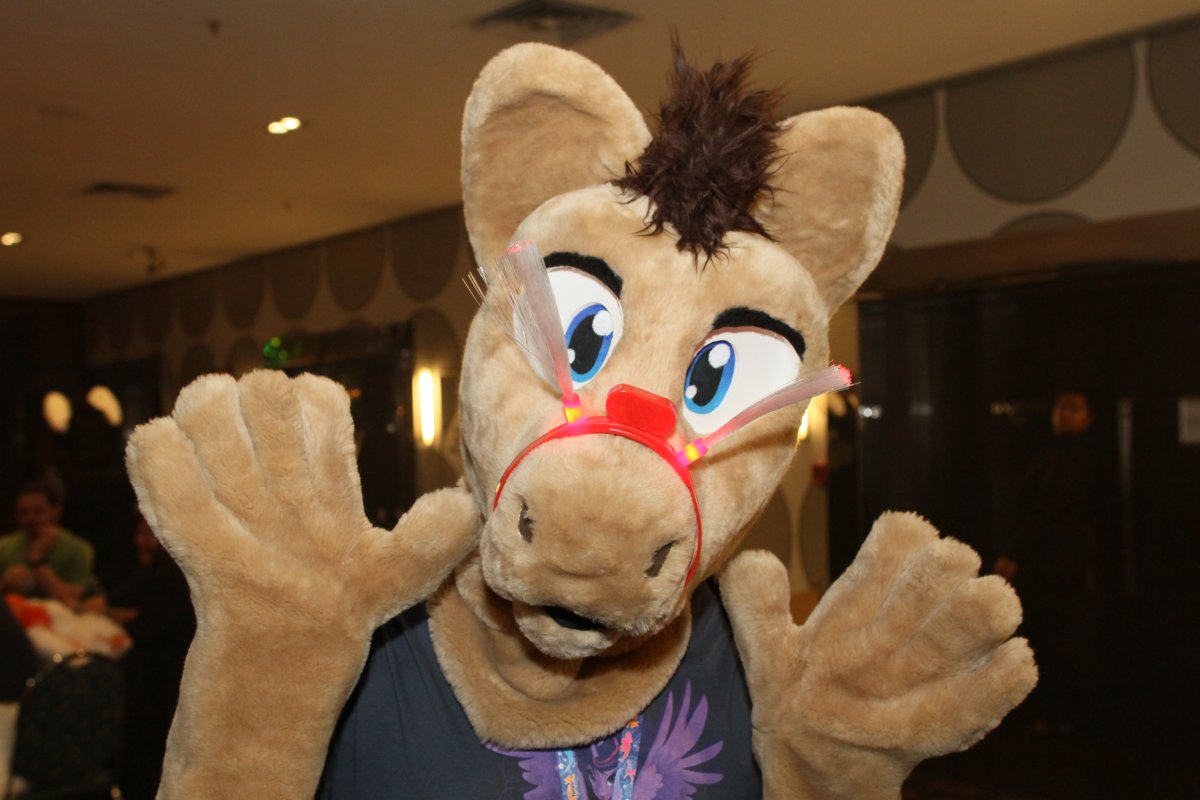 FurDU 2015, Fursuiters