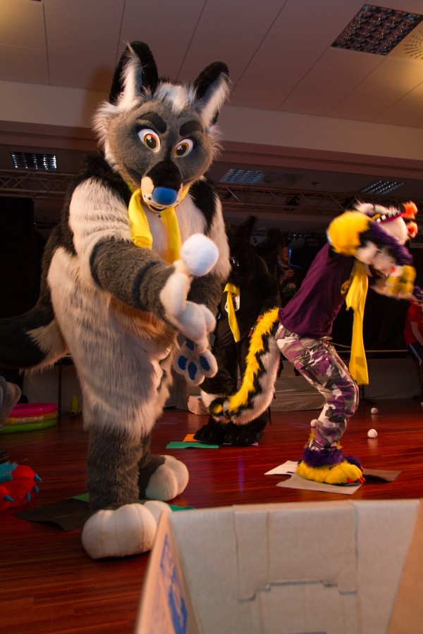 Furvester 2018-2019, Other photos