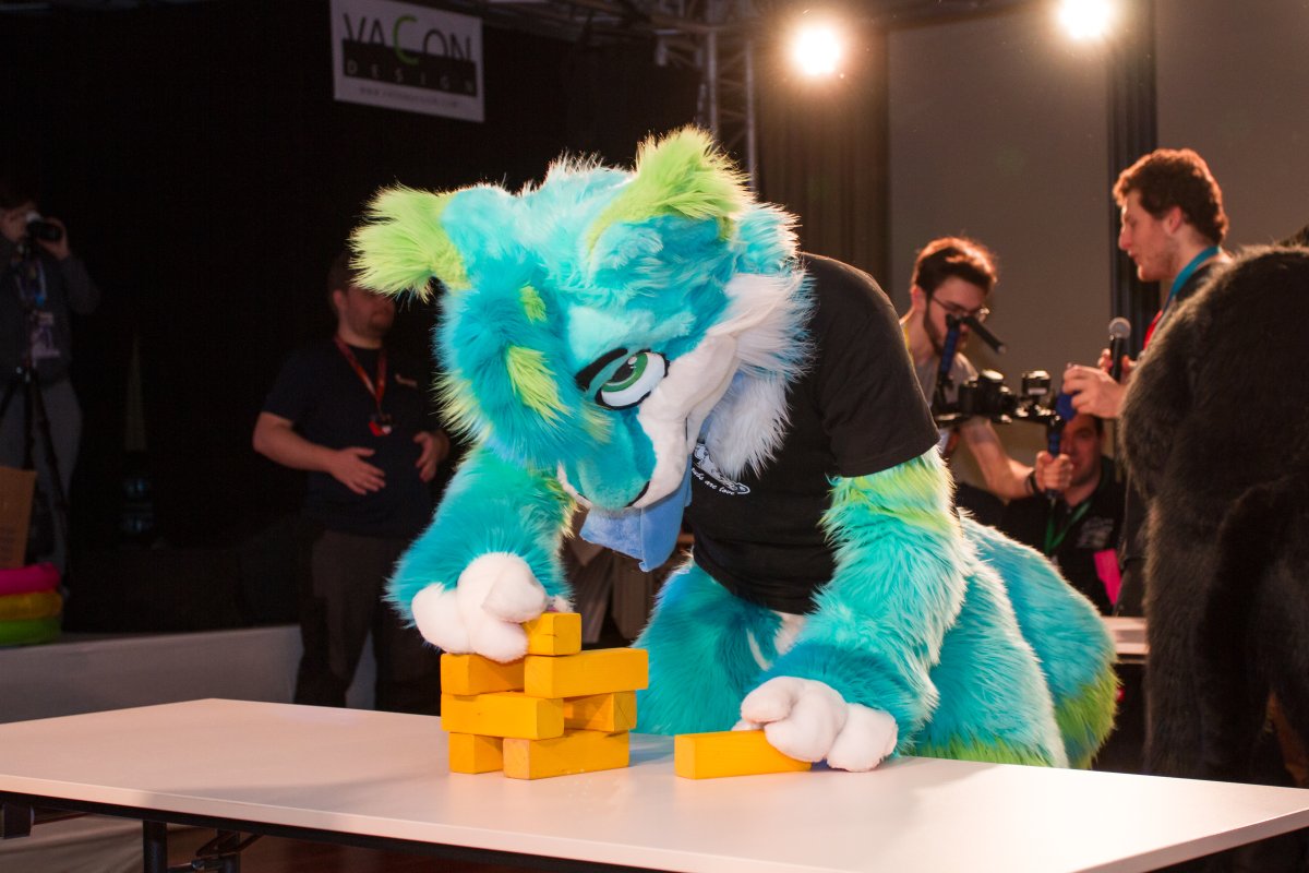 Furvester 2018-2019, Other photos