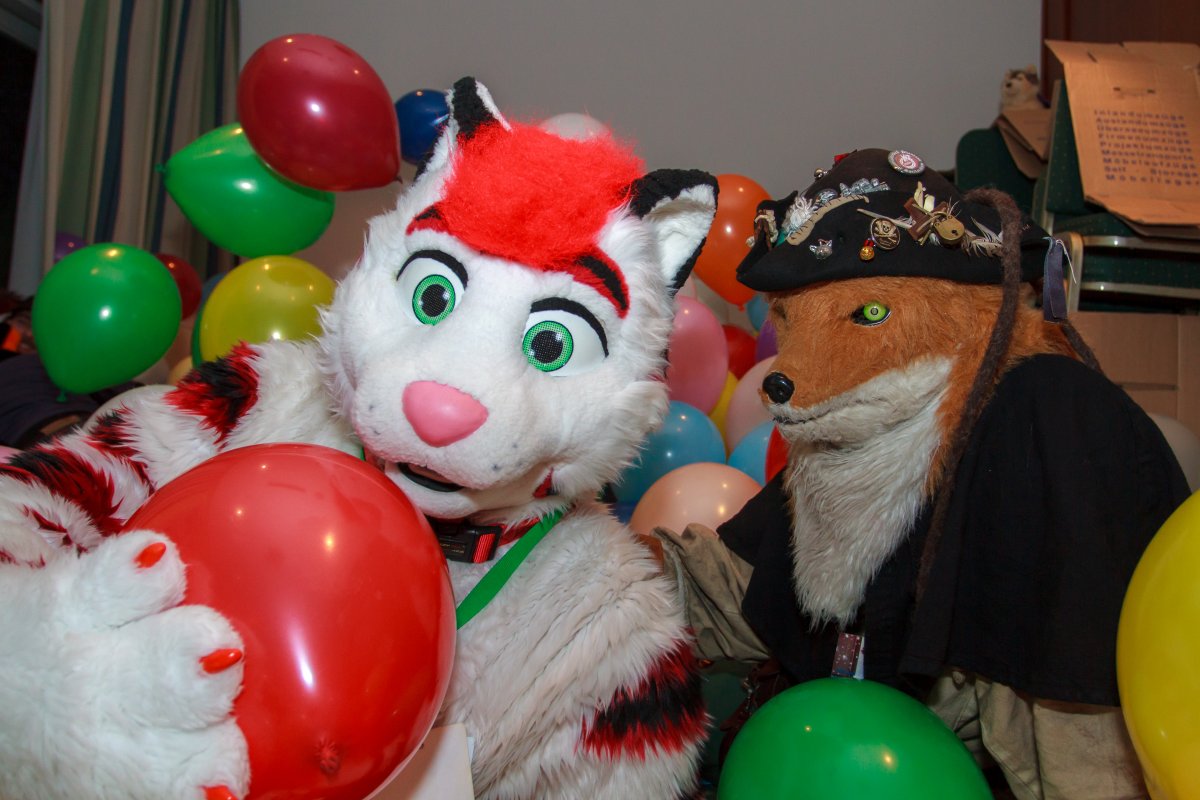Furvester 2018-2019
