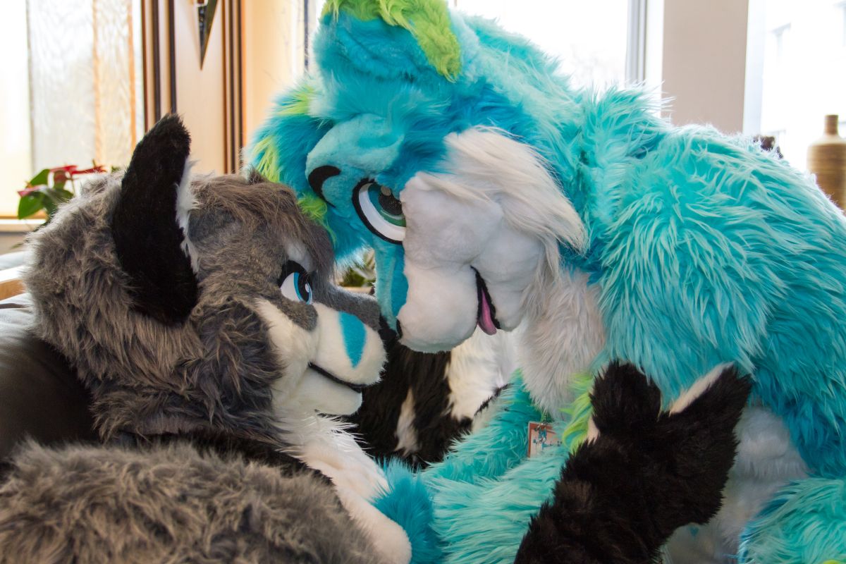 Furvester 2018-2019, Other photos